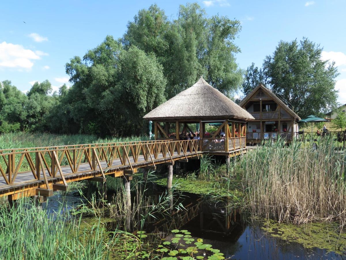 Apartmán House Of Lovra Kneževi Vinogradi Exteriér fotografie